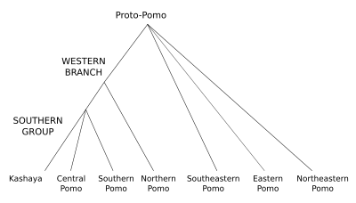 Pomoan family tree