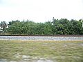 Pompano Beach FL Sample Estate area01