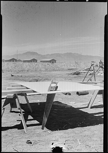 Poston, Arizona. Sawing celotex which is used in the construction of barracks for evacuees at this . . . - NARA - 536138.jpg