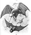 Pterodactyl reconstruction Newman 1843