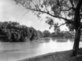 Queensland State Archives 2133 The Thomson River at Longreach March 1938