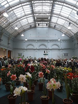 RHS Lindley Hall flower show 5072.JPG