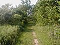 Railtrail