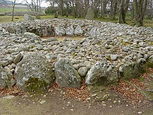 Ring Cairn