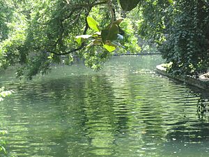 San Antonio River at Witte Museum IMG 3155