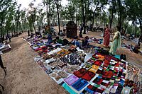 Saturday Haat - Sonajhuri - Birbhum 2014-06-28 5299