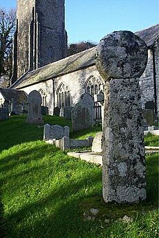 St Nonna's Celtic Cross at Altarnun - geograph.org.uk - 936188