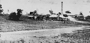 StateLibQld 1 107884 Battery and Mill at Mt Coolon Gold Mines