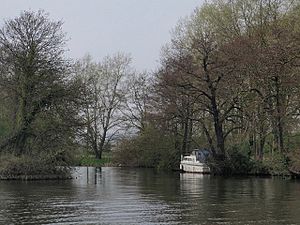 Thames near Sonning Hill - geograph.org.uk - 782443