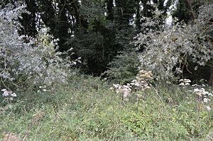 Thriplow Peat Holes 2
