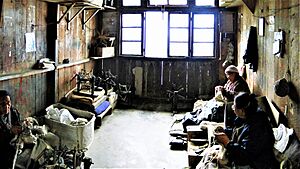Tibetan Refugee Self Help Centre (3)