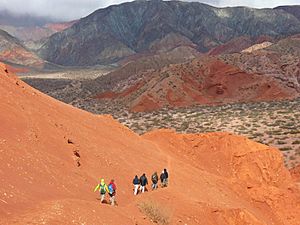 Tour to the Quebrada de las Conchas