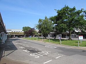 Trees in the middle of Cwmbran Bus Station (geograph 5106609)