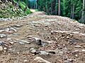 Typical road conditions on Rollins Pass