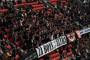 Ultras in the Donbas Arena, 2009