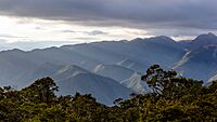 View towards Lookout Range from John Reid Hut, Kahurangi, New Zealand.jpg