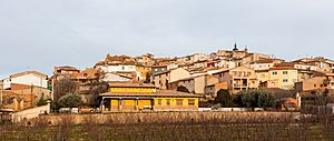 Villalengua, Zaragoza, España, 2015-12-29, DD 01.JPG