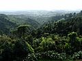 Waitakere Ranges and Henderson Valley