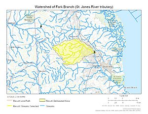 Watershed of Fork Branch (St. Jones River tributary)