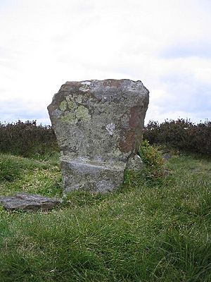 Wet Withens - geograph.org.uk - 59759