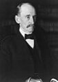 William Rufus Day, bw photo portrait, 1906