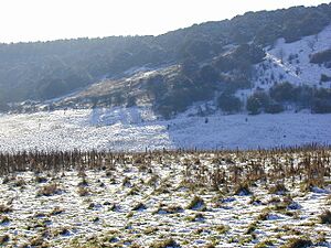 Winter scene at Butser Hill - geograph.org.uk - 404807