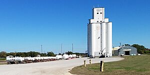 Yocemento Coop - elevator and bulk fertilizer (cropped)