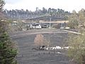 09 vic bushfire damage Yarra Glen 02