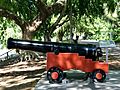 1803 Cannon (serial 63914) in the City Botanic Gardens, Brisbane, 6