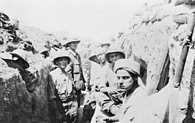 1st Herts Yeomanry in the Suez Canal trenches 1915 IWM Q15566