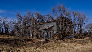 2019 Dumont Cotton Gin