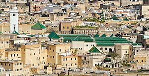 29610-Fez (28134041211) (qarawiyyin crop)