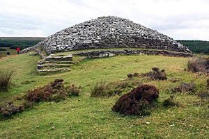 A Neolithic burial long cairn at Camster