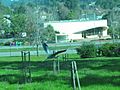 A heron flies by the Marin Post Office in Santa Venetia