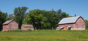 Andrew Peterson Farmstead summer