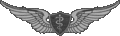 ArmyFltSurg