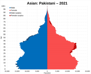 Asian Pakistani population pyramid 2021