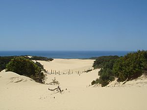 Badjala Sandblow