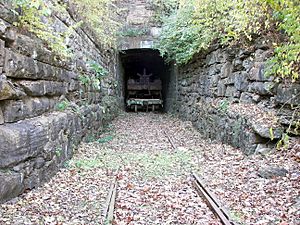 Barretts Tunnel 1