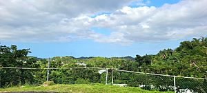 View from Sector González in Maricao