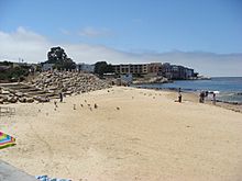 Beach Monterey