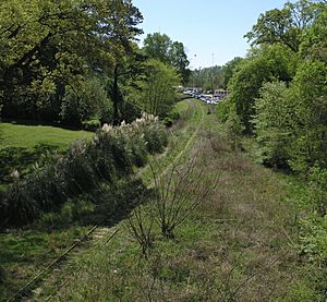 Beltline from Woodward Bridge in Piedmont Park