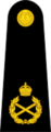 British Royal Marines OF-10.svg