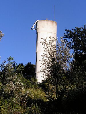 BurewarraPoint