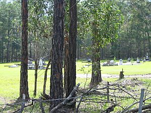 Carbrook Lutheran Cemetery - view from road, 2005