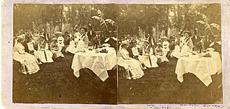 Central City Park, Memorial Association festival, circa 1877 - DPLA - e06d785183ffccfcac69c8fade34ac1a