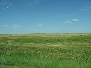 Farmland on the reservation