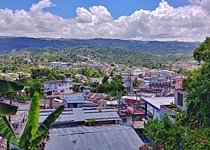 View of Corozal barrio-pueblo from Abras