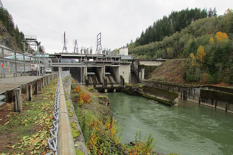 Cowlitz Falls Prjt 8136