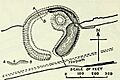 Denham Castle plan